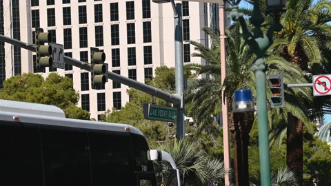 Las Vegas 2021 Video stock 167337057