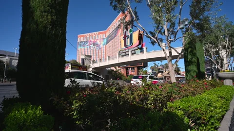 Las Vegas 2021 Video stock 167337066