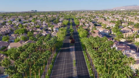 Las Vegas Aerial Pullback View of Palm Tree Lined Residential Boulevard Stock Footage 334583798