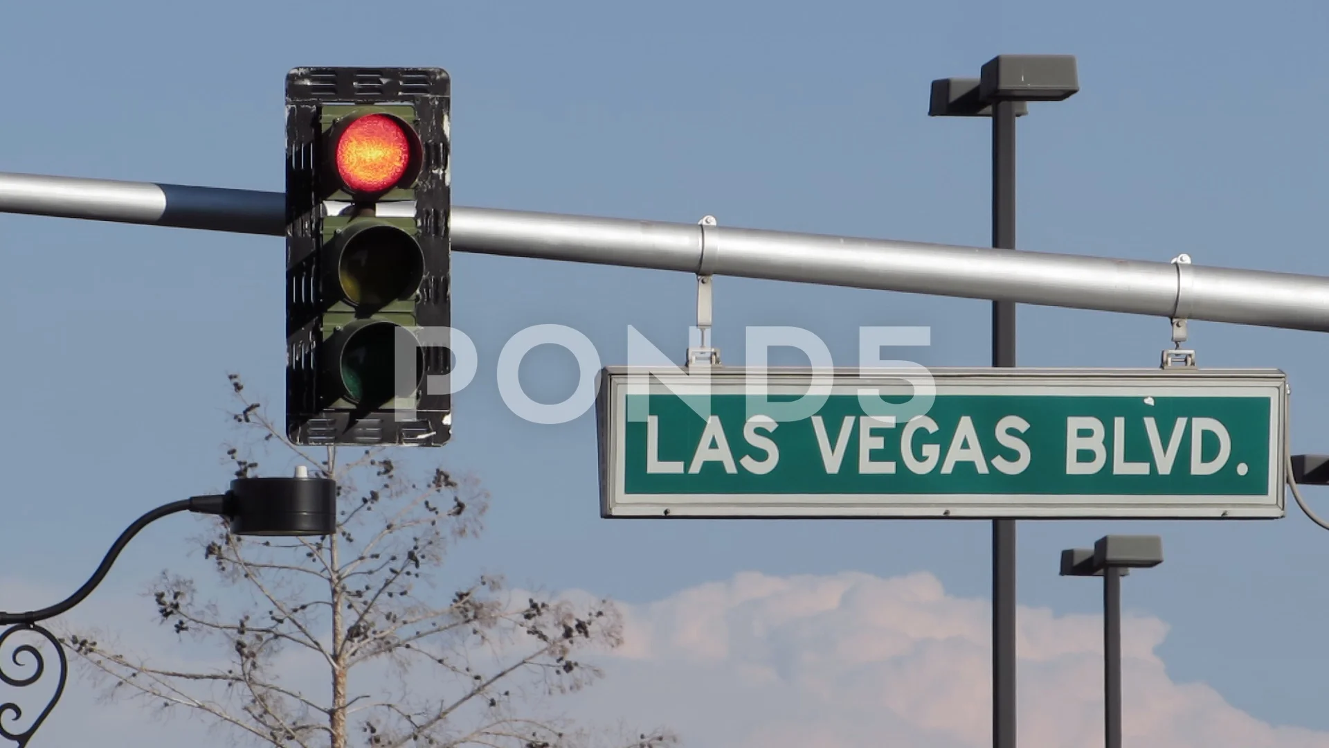Las Vegas Boulevard Street Light