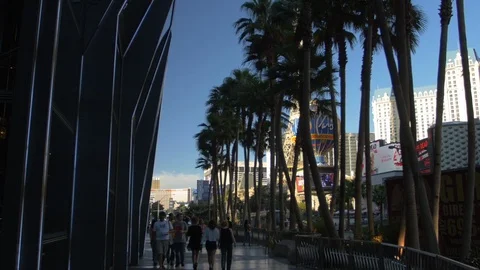 Las Vegas boulevard Stock Footage 87108073
