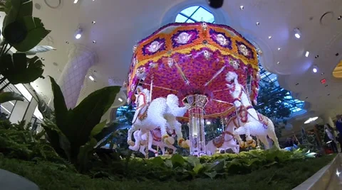 Las Vegas Carousel Vidéo 33193857