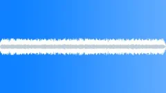 Las Vegas casino background, loud slots. Sound Effect