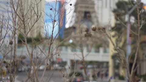 Las Vegas Paris eiffel tower blurred background Stock Footage 103365067