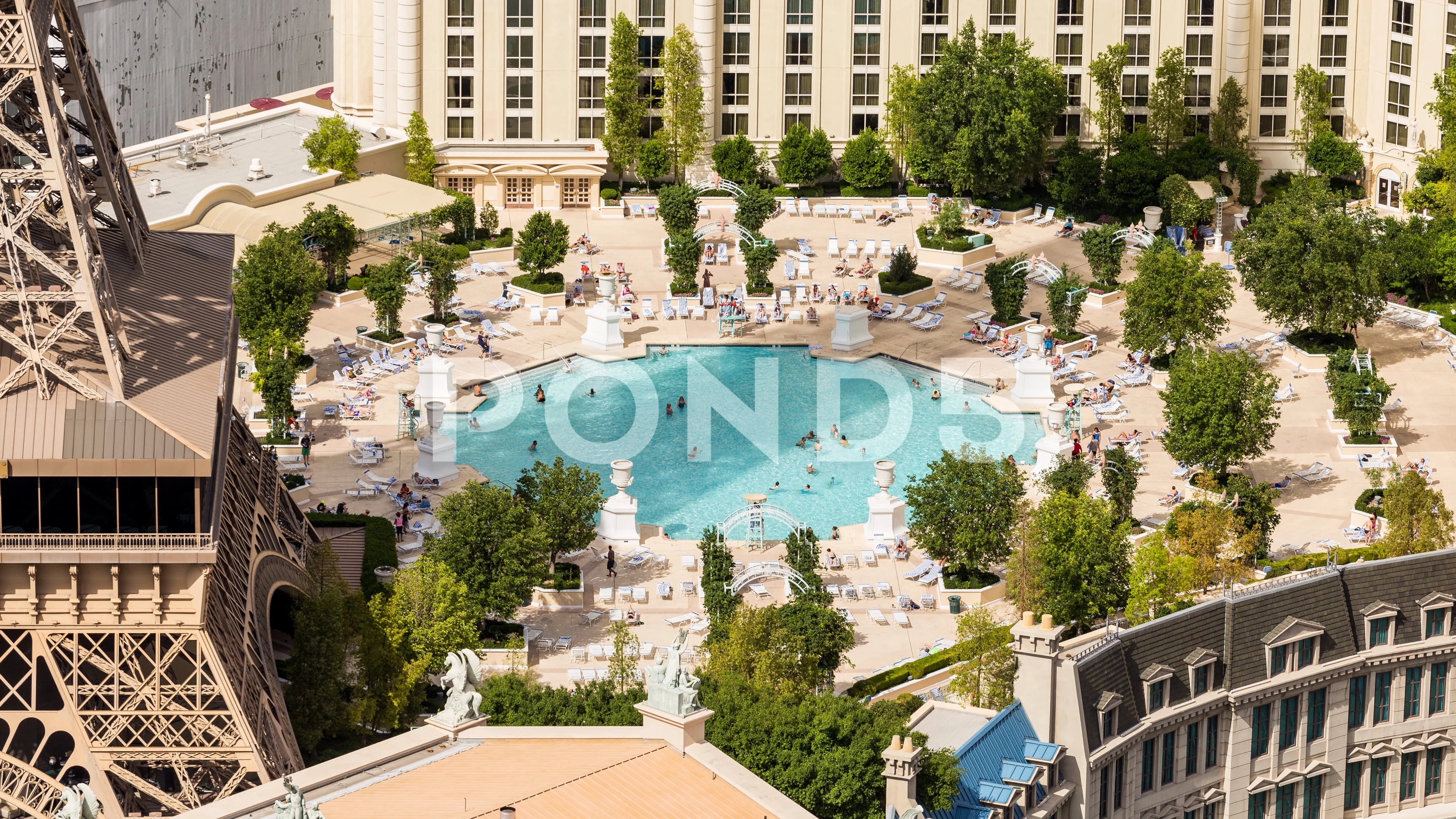 Paris Las Vegas: Pools 