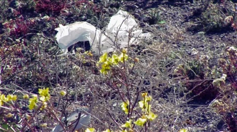Las Vegas-trash in desert Stock Footage 1007808