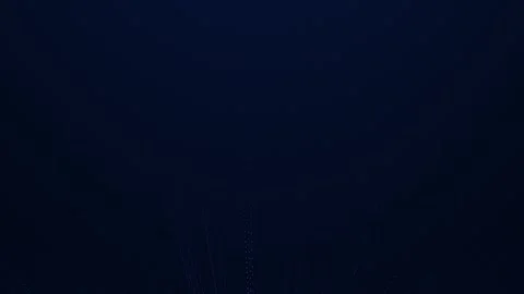 Laser beams Stock Footage 294547104