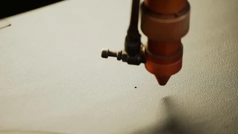 Laser cut leather Stock Footage 99815432