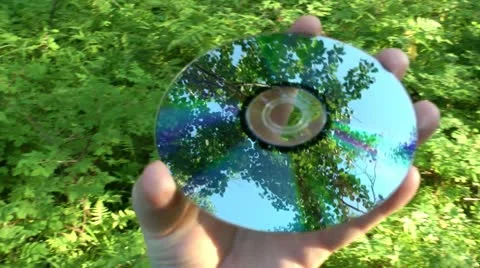 Laser disk with reflection from the surface of a wood thicket Stock-Footage 11846677