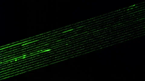 Laser Stock Footage 137394177