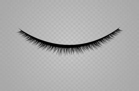 Lashes isolated on transparent background. False eyelashes set. Vector Stock Illustration