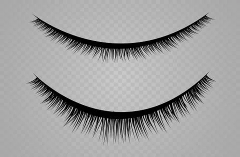 Lashes isolated on transparent background. False eyelashes set. Vector Stock Illustration