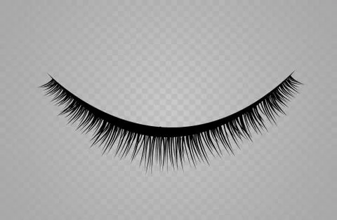 Lashes isolated on transparent background. False eyelashes set. Vector Stock Illustration