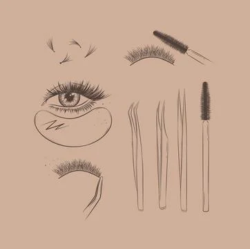 Lashes treatment tools collection brown Stock Illustration