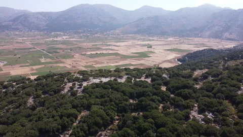 Lasithi Plateau in Crete Video stock 170586925