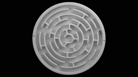 Lasius niger ant runs through the maze Stock Footage 102410587