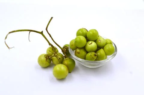 Lasoda image Stock Photos