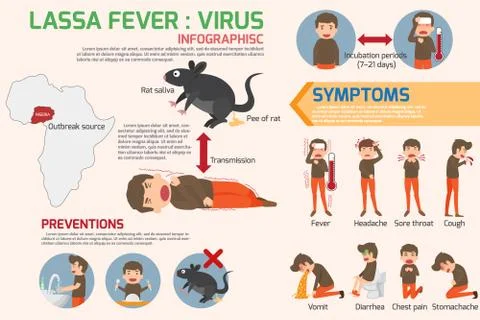 Lassa fever virus infographics elements. Lassa fever symptoms and prevention. 스톡 일러스트