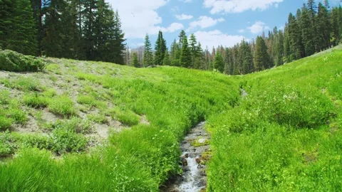 Lassen Babbling Brook 動画素材 280022608