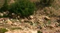 Lassen National Park 37 Sulphur Works HD Footage