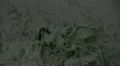 Lassen National Park 43 Mud Pot Sulphur Works HD Footage