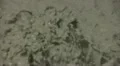 Lassen National Park 44 Mud Pot Sulphur Works HD Footage