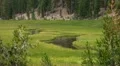 Lassen National Park 50 Timelapse Kings Creek Meadows HD Footage