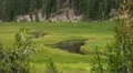 Lassen National Park 51 Kings Creek Meadows HD Footage