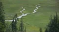 Lassen National Park 52 Kings Creek Meadows HD Footage
