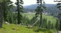 Lassen National Park 54 Kings Creek Meadows HD Footage