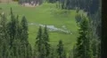 Lassen National Park 55 Kings Creek Meadows HD Footage