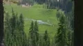 Lassen National Park 56 Kings Creek Meadows Zoom Out HD Footage