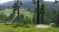 Lassen National Park 57 Kings Creek Meadows HD Footage