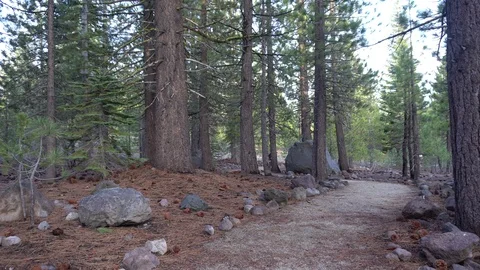 Lassen Volcanic Devastated Area Trail Vídeos de archivo 90500245