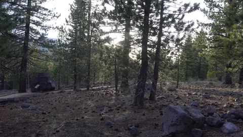 Lassen Volcanic Devastated Area Trail Vídeos de archivo 90500351