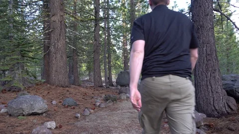Lassen Volcanic Man Walking Through Devastated Area Vídeos de archivo 90500722
