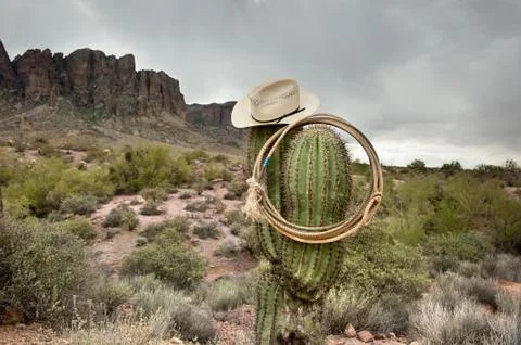 Lasso on cactus Stock Photos