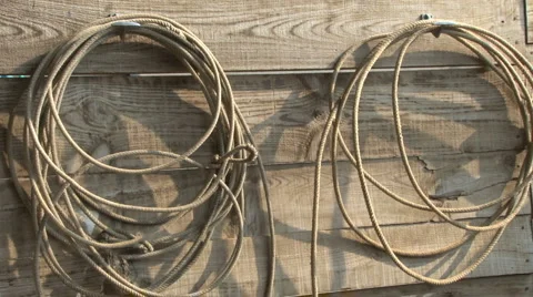Lasso Stock Footage 6558722