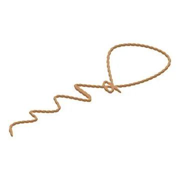 Lasso icon, isometric style Stock Illustration