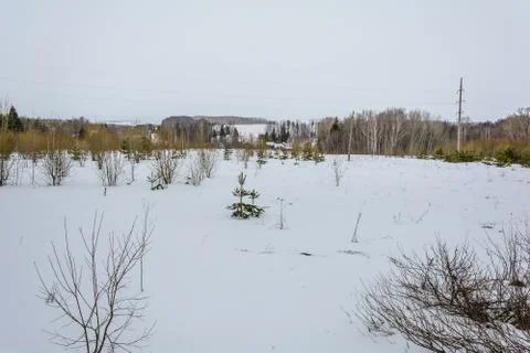 Last days of winter on the fields Stock Photos