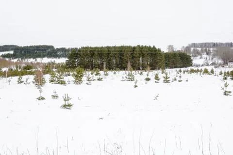 Last days of winter on the fields Stock Photos