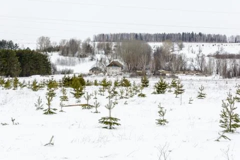 Last days of winter on the fields Stock Photos