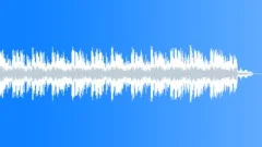 The Last Decision (30sec) Stock Music