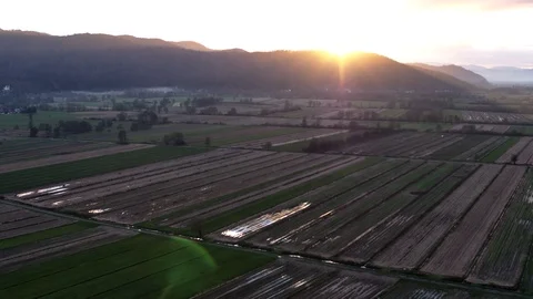 Last evening sunset light Stock Footage 98455612