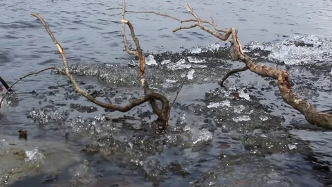 The last ice Stock Footage 71171993