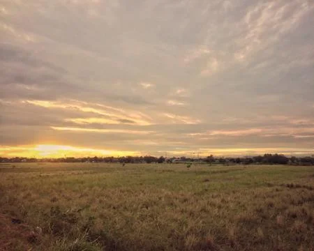 The last light at the field. Stock Photos