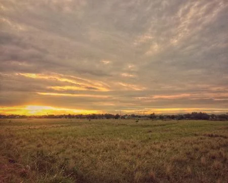 The last light at the field Stock Photos