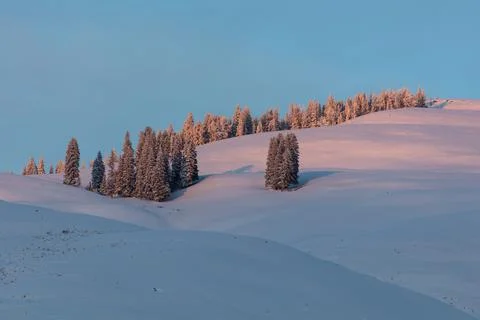 Last light on flanks of Bison Peak Stock Photos