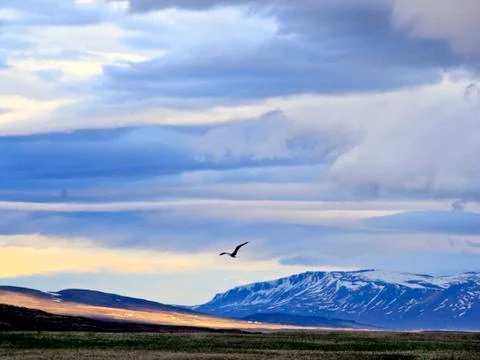 Last light Stock Photos