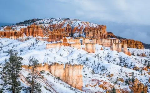 Last light before sunset on the pink cliffs of Bryce Canyon, Utah. Stock Photos
